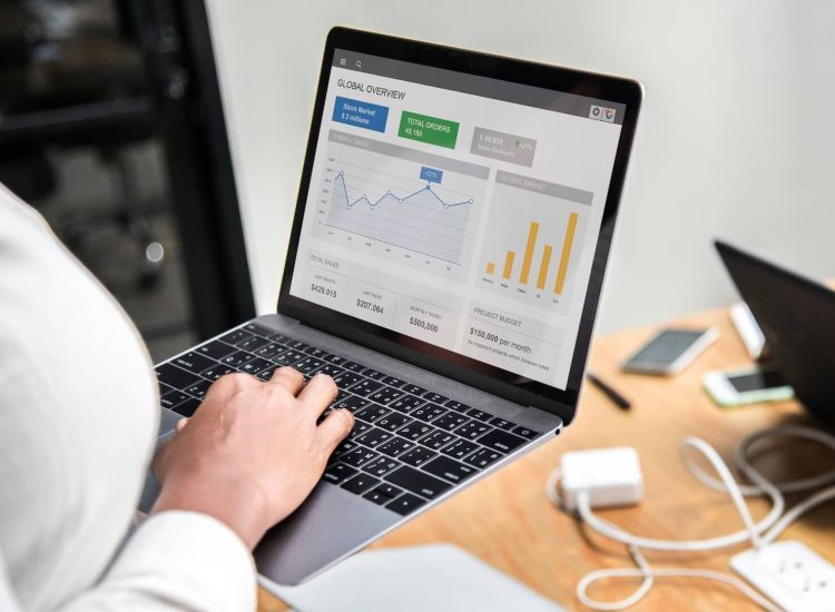 businesswoman-working-laptop_53876-163211 (1)